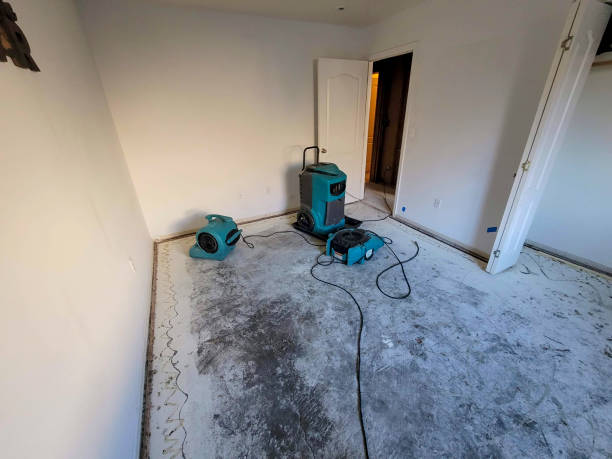 Best Flooded house restoration  in Ferry Pass, FL