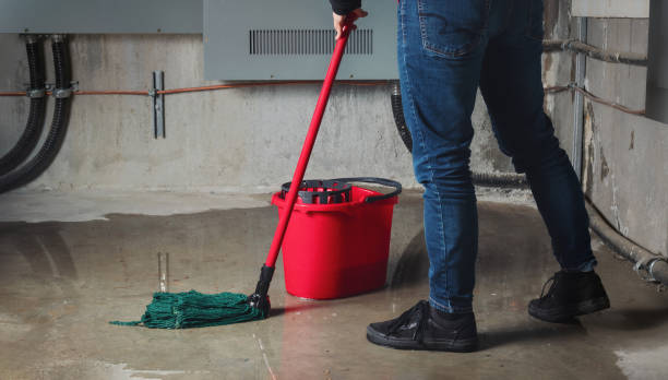 Best Flooded house restoration  in Ferry Pass, FL