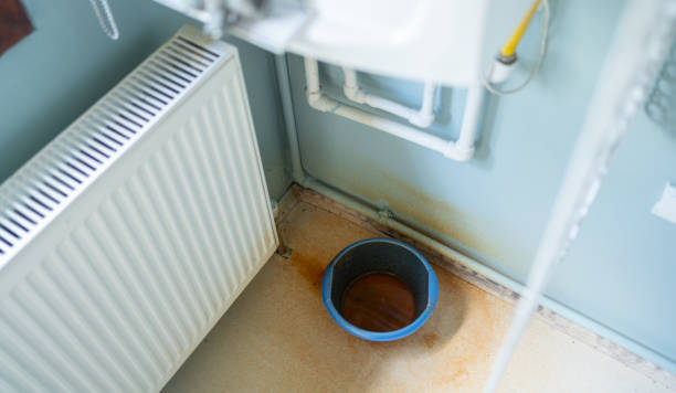 Best Water damage restoration company  in Ferry Pass, FL
