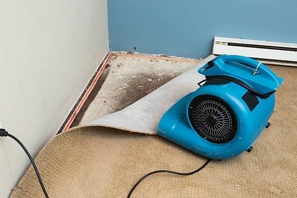 Best Sewage cleanup and water damage restoration  in Ferry Pass, FL